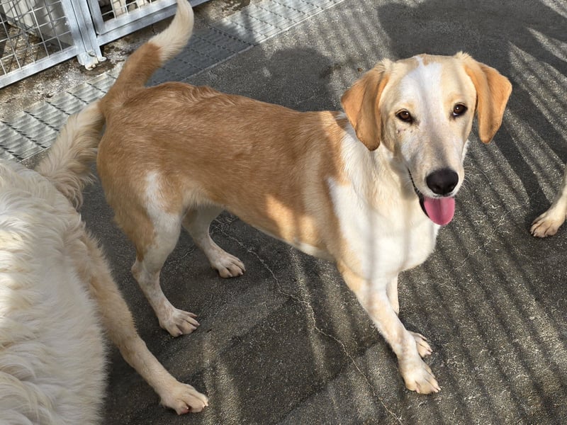 Trilly: ein Schatz für die ganze Familie