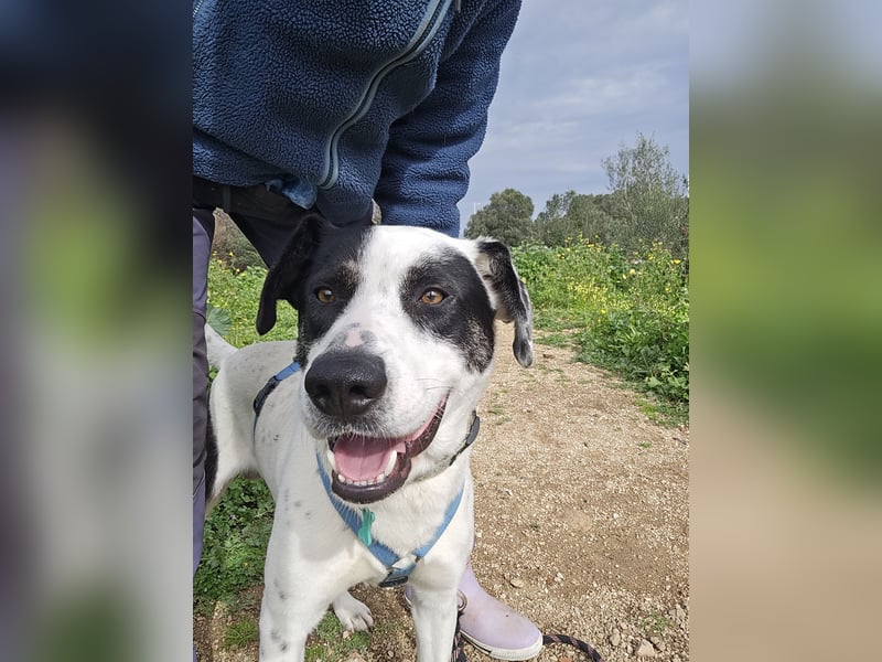 Diddo:  verschmuster Schatz hatte eine Familie