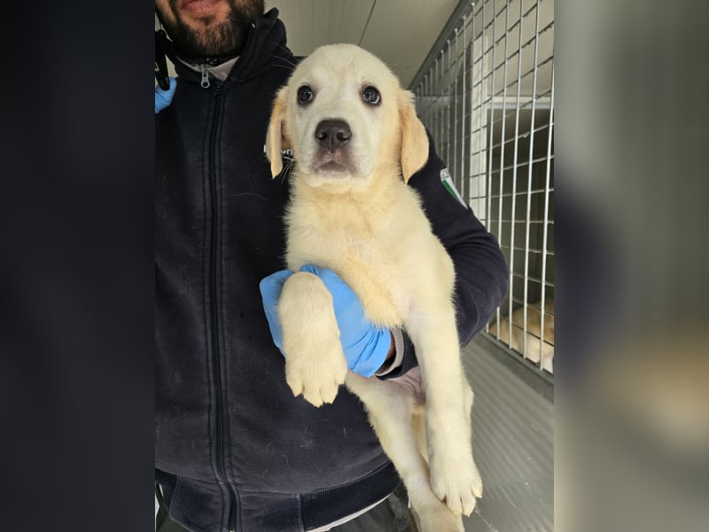 Naira - vom Flughafen ins schöne Leben