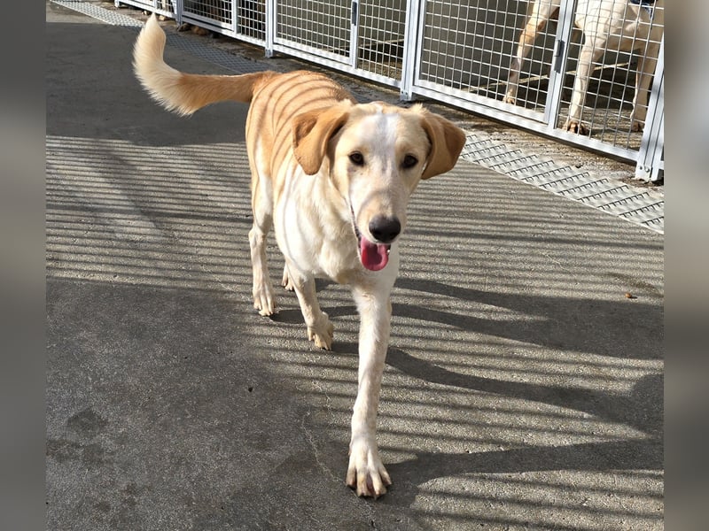 Trilly: ein Schatz für die ganze Familie