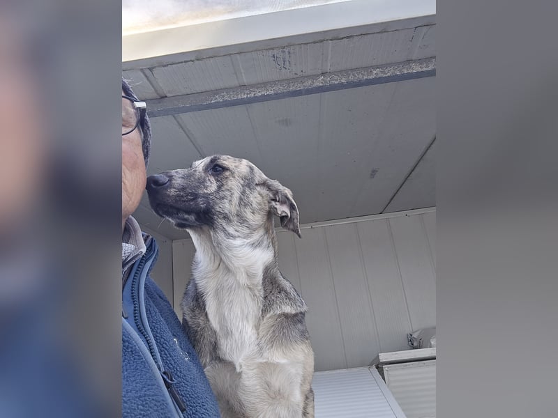 Cheyenne: Wärme und Geborgenheit gesucht