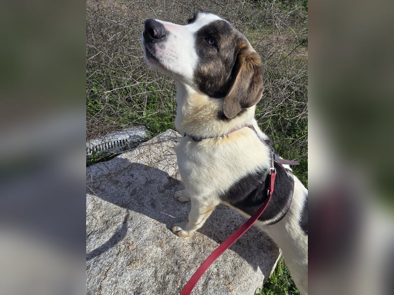 Carlo: was will man mehr?