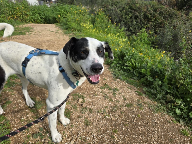 Diddo:  verschmuster Schatz hatte eine Familie