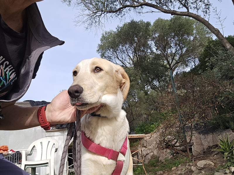 Trilly: ein Schatz für die ganze Familie