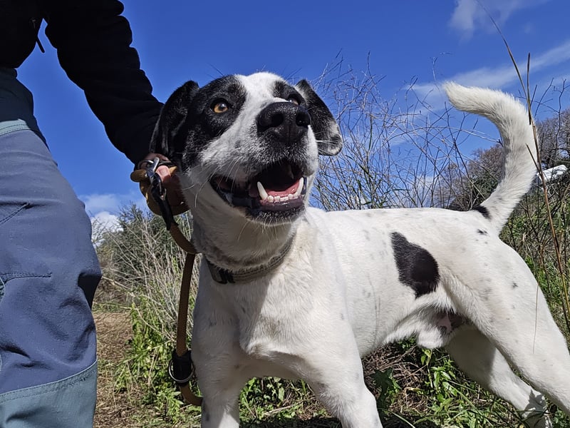 Diddo:  verschmuster Schatz hatte eine Familie