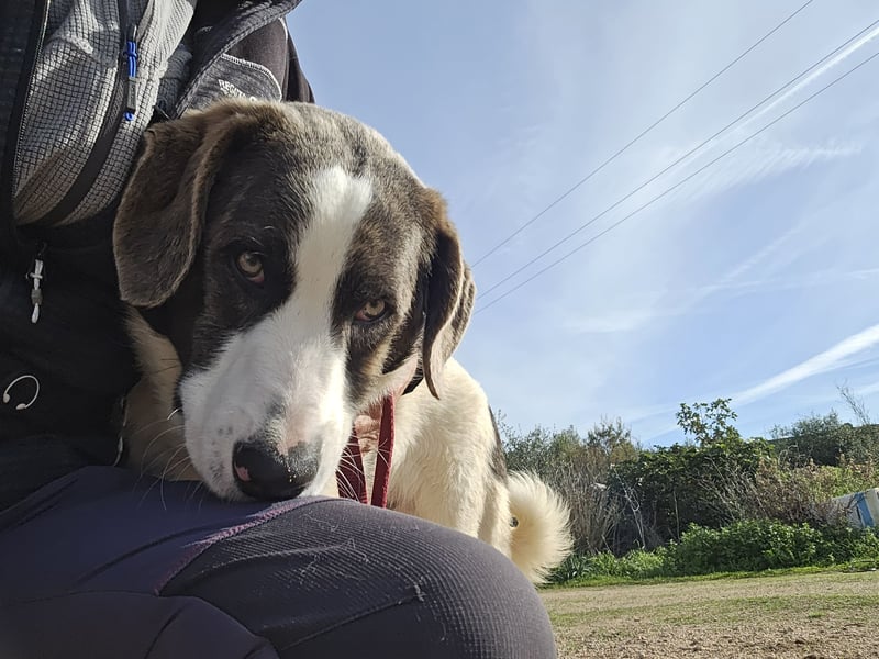 Carlo: was will man mehr?