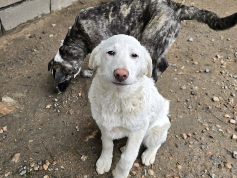 Clarissa: sehnt sich nach 1000 Streichelhänden