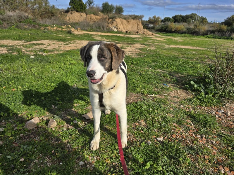 Carlo: was will man mehr?