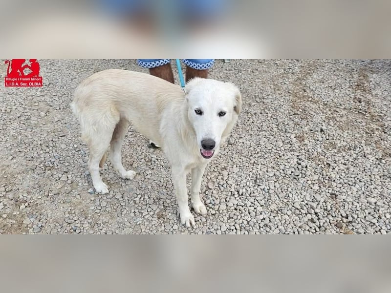 Nala: ein richtiger Hingucker