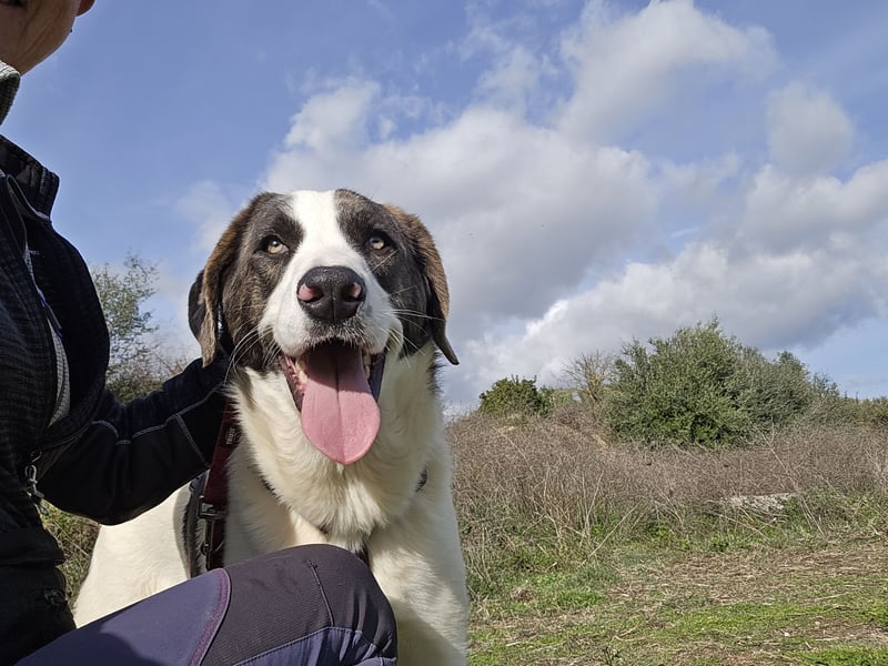 Carlo: was will man mehr?