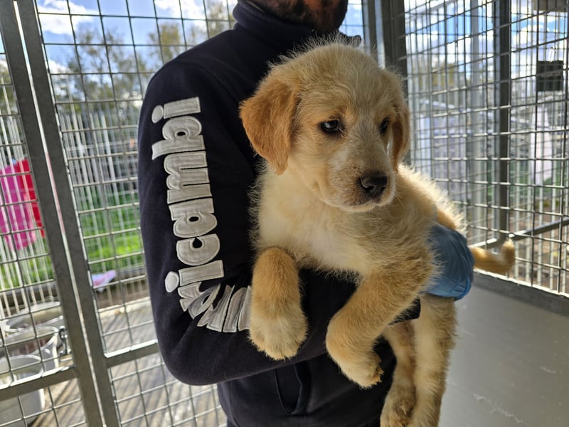 Naira - vom Flughafen ins schöne Leben