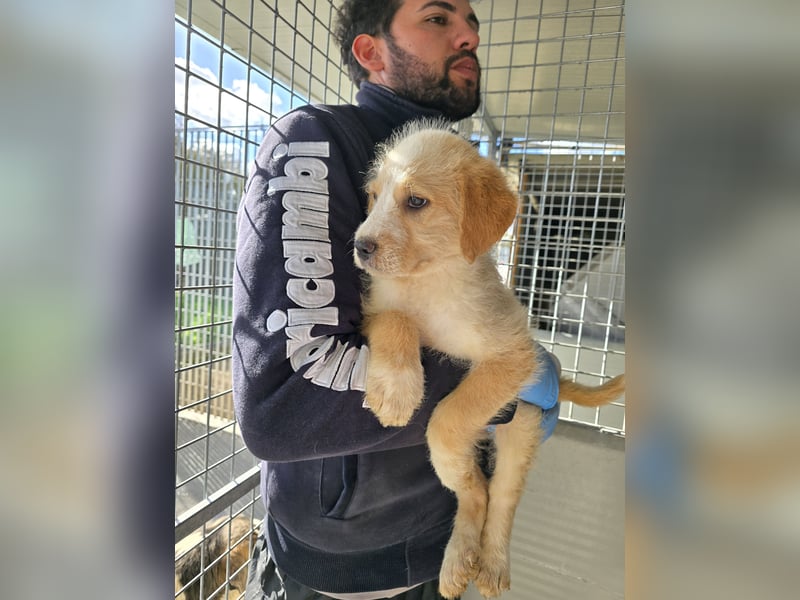 Naira - vom Flughafen ins schöne Leben