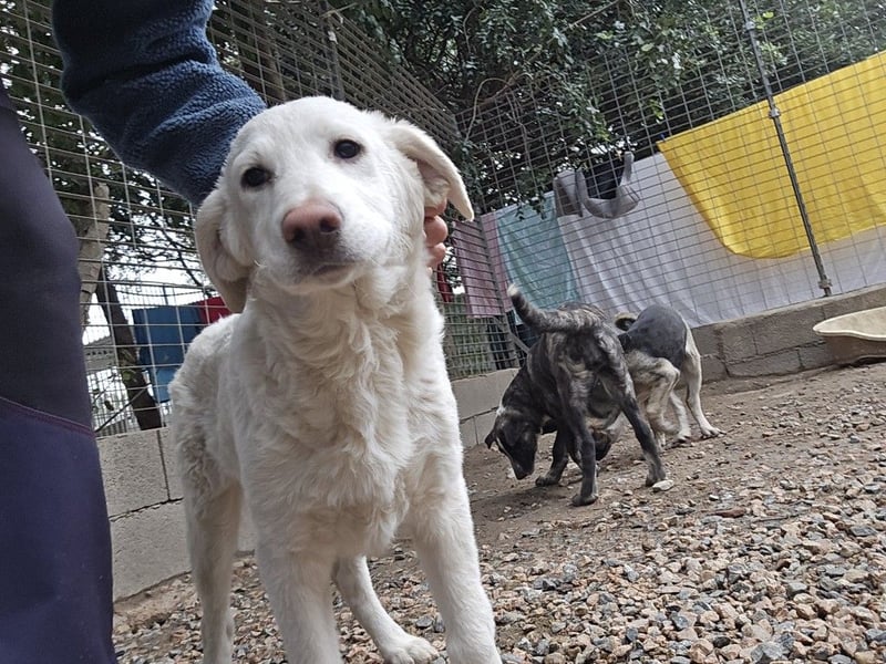 Clarissa: sehnt sich nach 1000 Streichelhänden