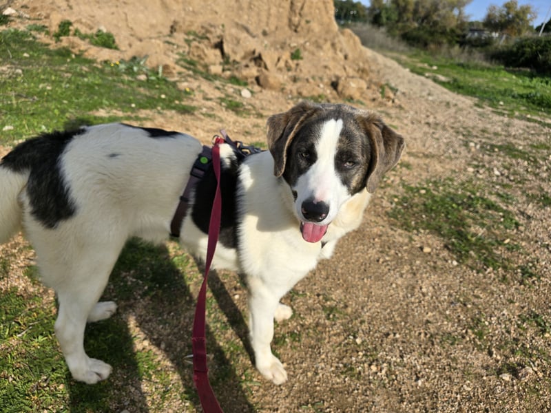 Carlo: was will man mehr?