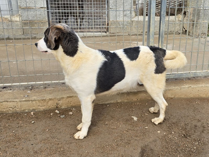 Carlo: was will man mehr?