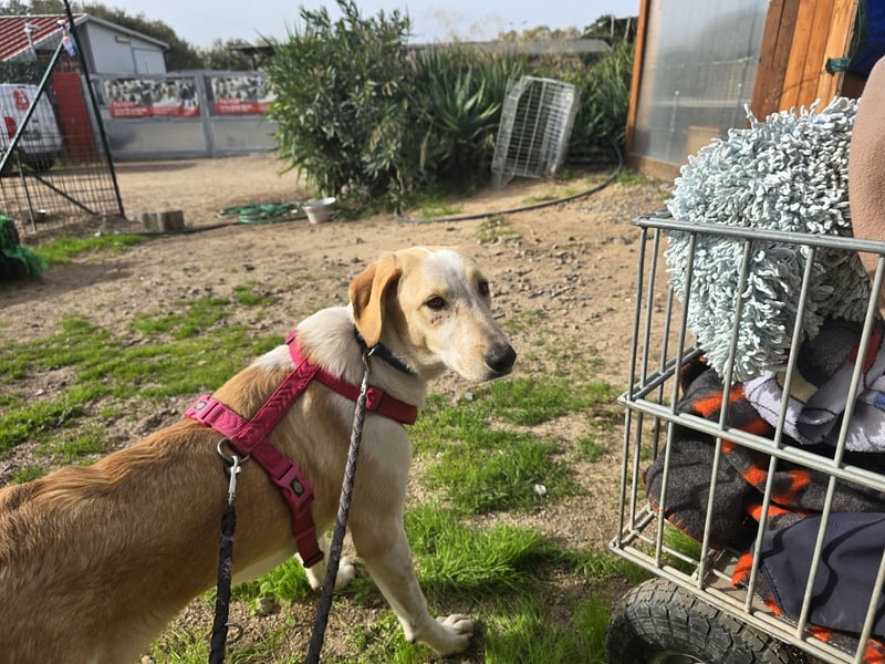 Trilly: ein Schatz für die ganze Familie