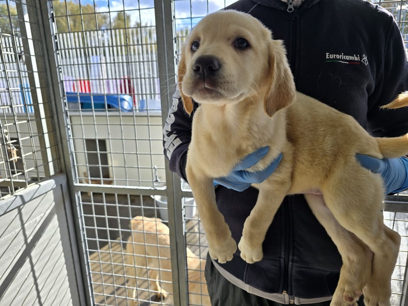 Naira - vom Flughafen ins schöne Leben