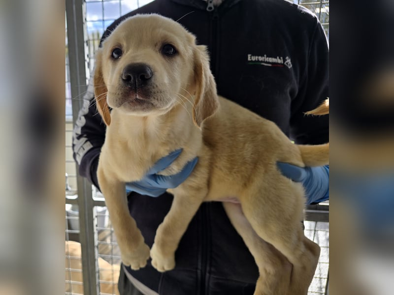 Naira - vom Flughafen ins schöne Leben