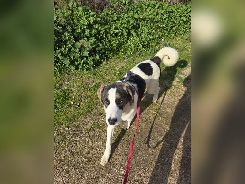 Carlo: was will man mehr?