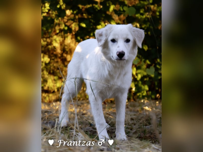 Giorgia und Frantzas  suchen ein Zuhause