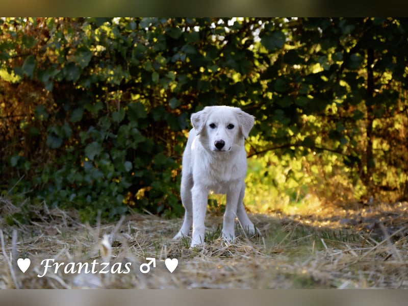 Giorgia und Frantzas  suchen ein Zuhause