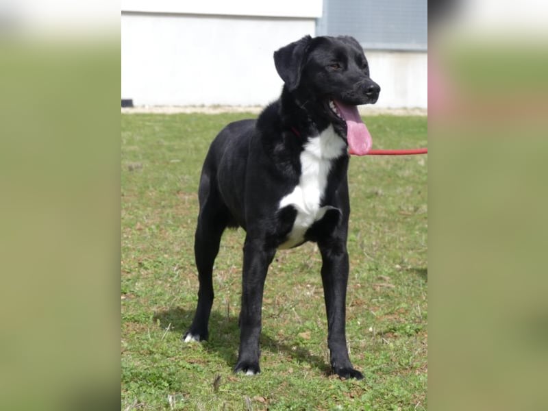 Poitiers : Pinceau wartet auf die zweite Chance