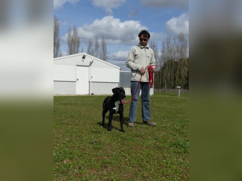 Poitiers : Pinceau wartet auf die zweite Chance