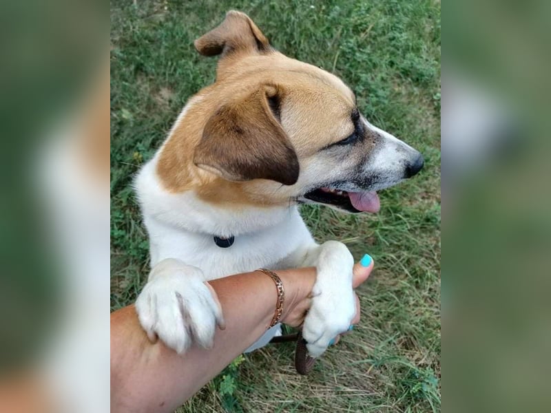 Bam VA, von der Kette ins Glück?