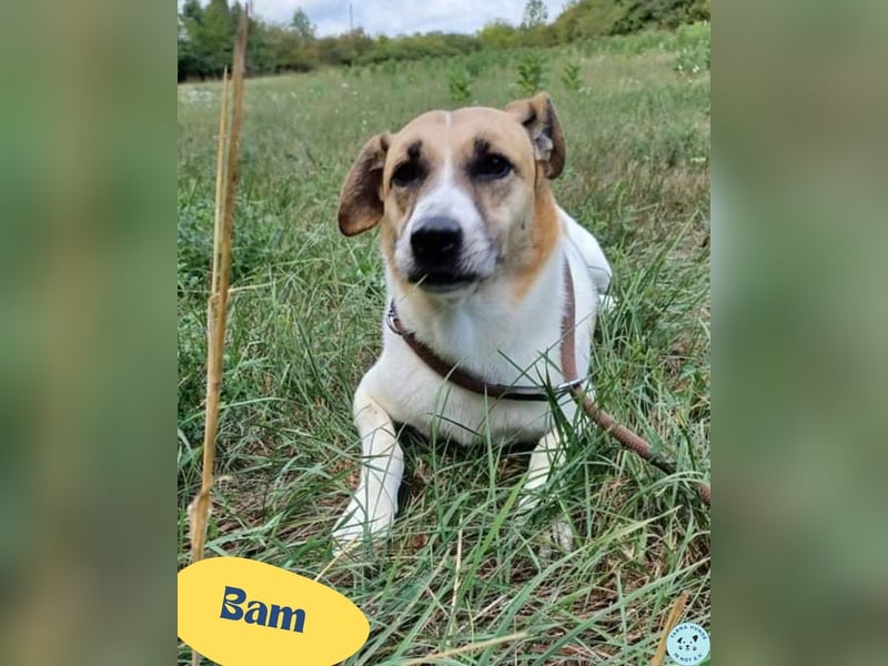 Bam VA, von der Kette ins Glück?