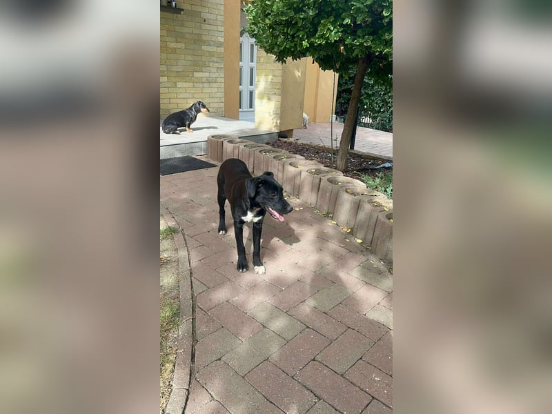 Hübsche Lyra sucht ihr Glück