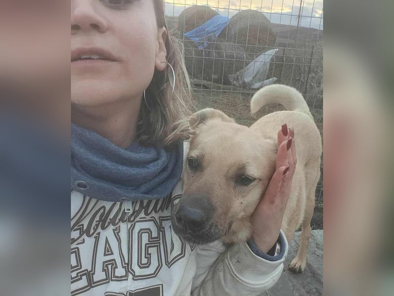 LYSETT ♥ - Gerettet aus Horror Tötung Slatina, Ostern'22