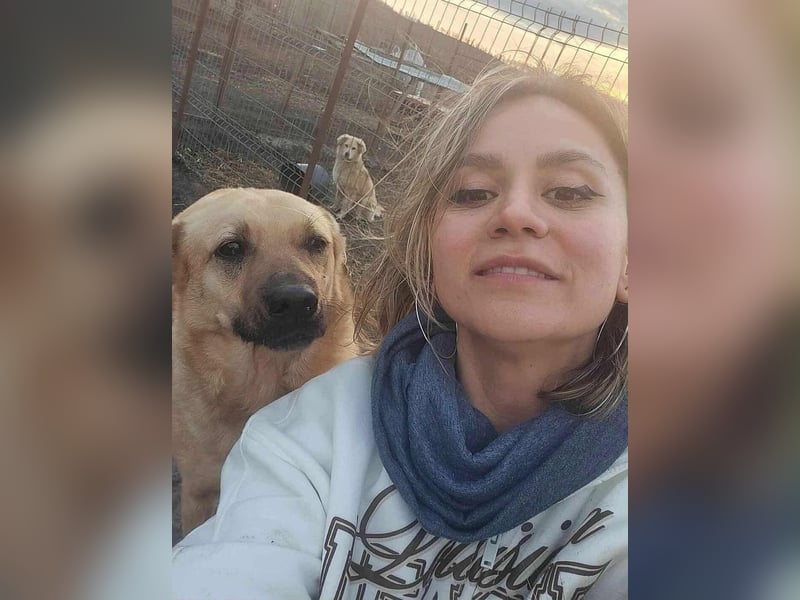 LYSETT ♥ - Gerettet aus Horror Tötung Slatina, Ostern'22