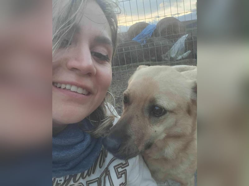 LYSETT ♥ - Gerettet aus Horror Tötung Slatina, Ostern'22