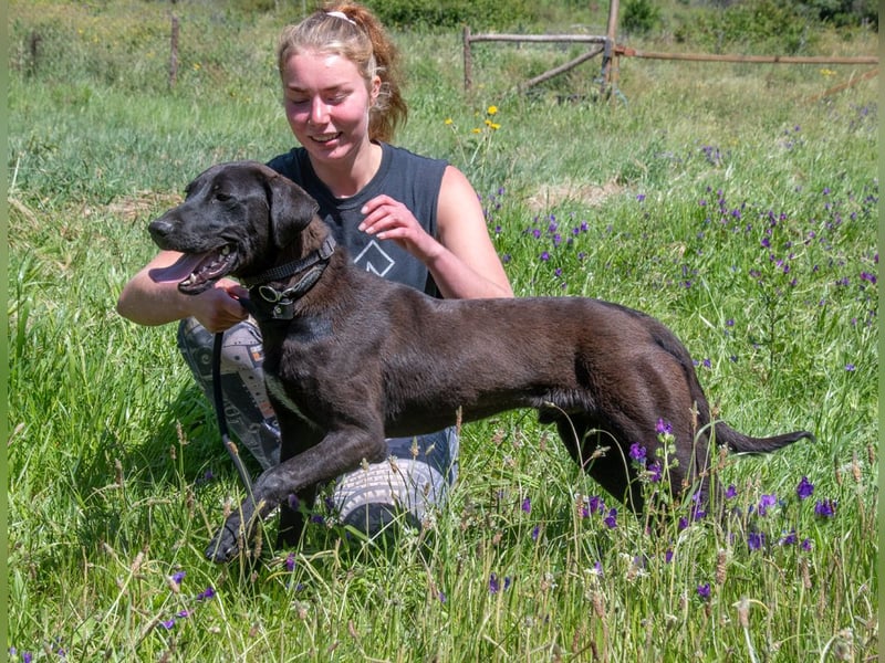 Jack – Rohdiamant sucht Feinschliff