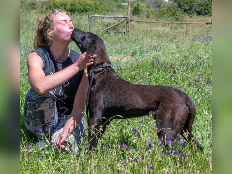 Jack – ein aktiver Junge