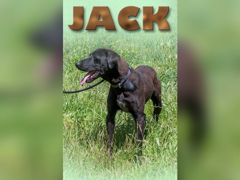 Jack - ein aktiver Junge