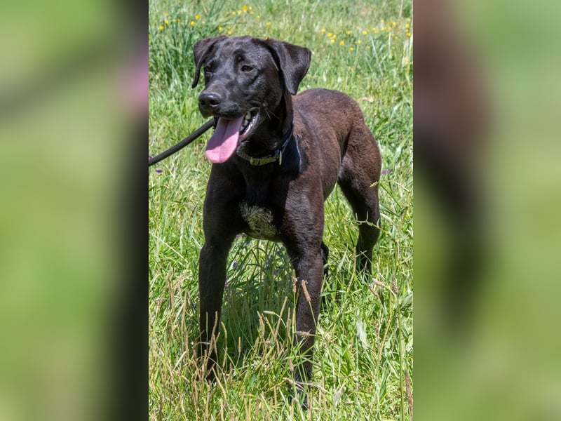 Jack – Rohdiamant sucht Feinschliff