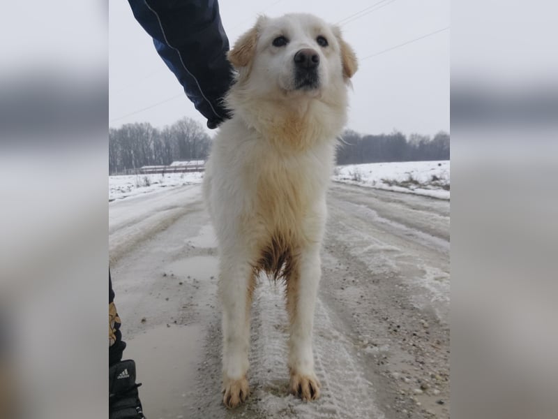Fiona eine Schneekönigin