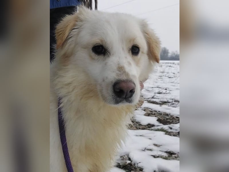 Fiona eine Schneekönigin