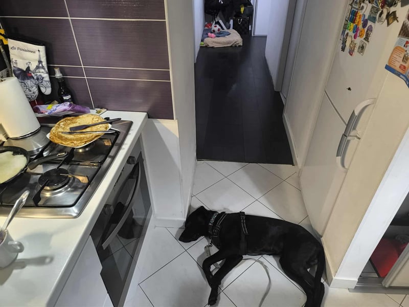 Kan braucht liebevolle Familie