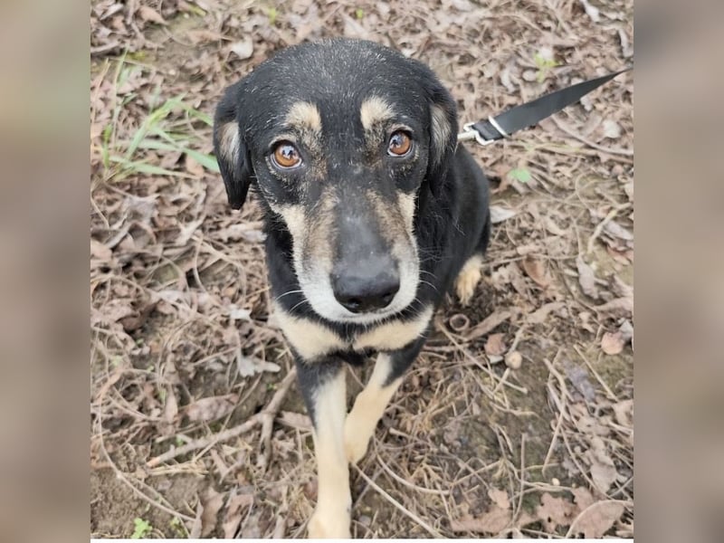 Debby eine gebrochene Seele