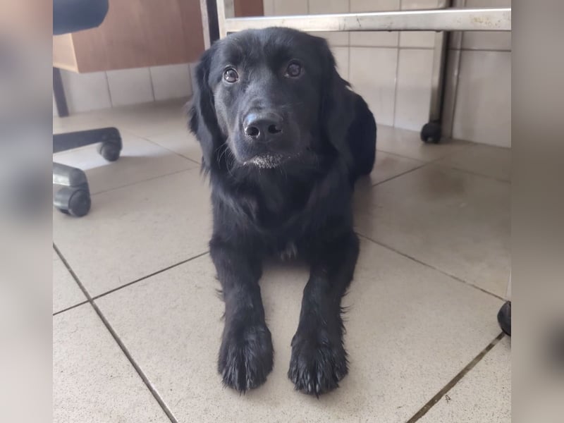 Jonte pure Lebensfreude