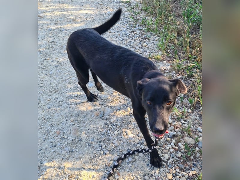 Bura ein feines Mädchen