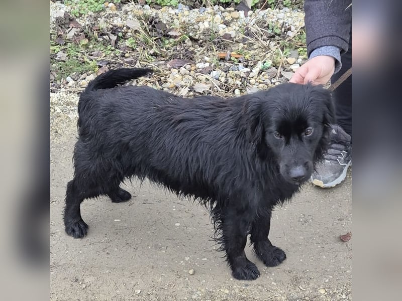 Jonte pure Lebensfreude