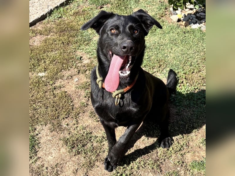 Mio ein treuer wundervoller Freund fürs Leben