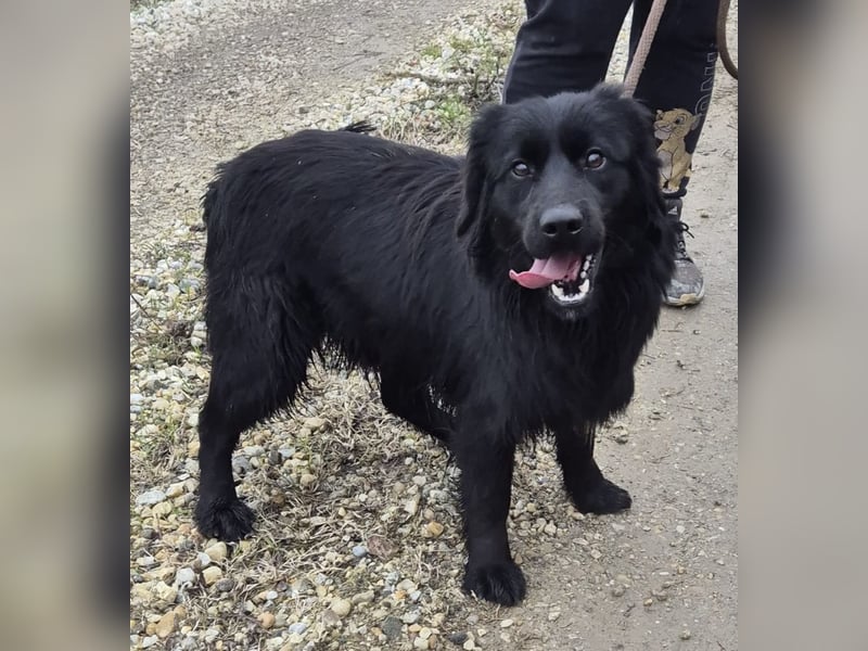 Jonte pure Lebensfreude