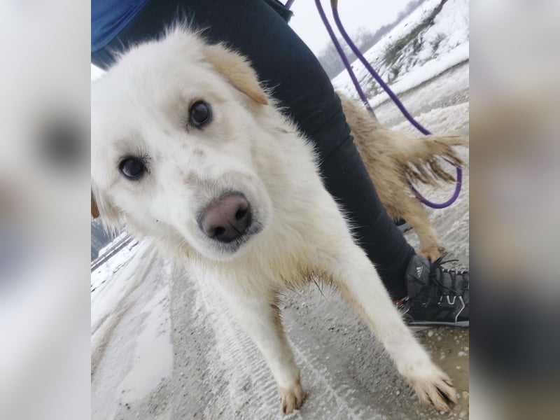 Fiona eine Schneekönigin