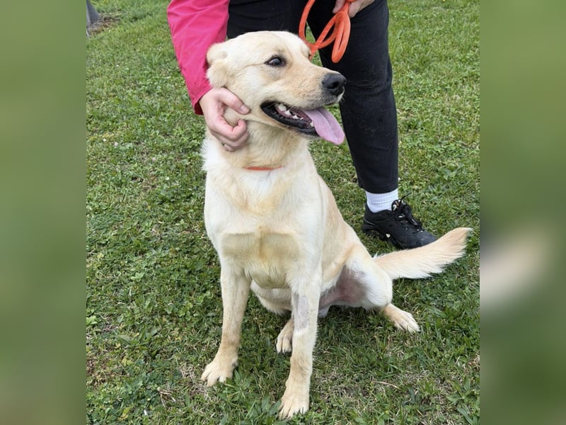 Odin ein richtiger Teeneger