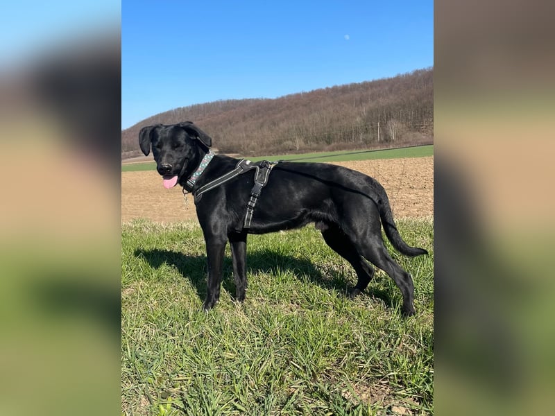 Kan braucht liebevolle Familie