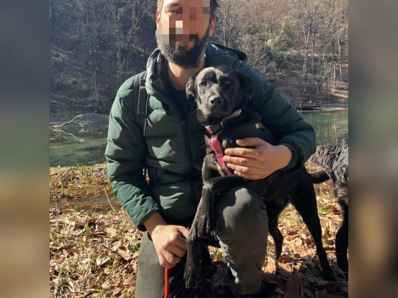 Lexy eine intelligente sportliche Hündin